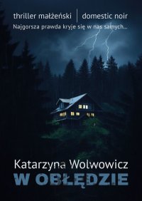 W obłędzie - Katarzyna Wolwowicz - ebook