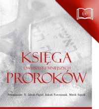 Księga Dwunastu Mniejszych Proroków Rabina Cylkowa - Izaak Cylkow - ebook