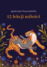 13 lekcji miłości - Agnieszka Passendorfer - ebook