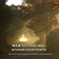 Aleje na 4 pory roku. Naturalnie, Kaszuby Północne - Julia Kończak - audiobook