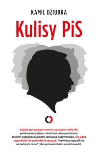 Kulisy PIS - Kamil Dziubka - ebook