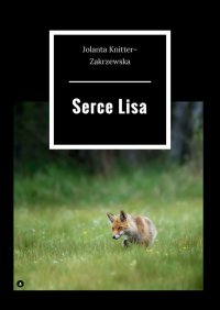 Serce Lisa - Jolanta Knitter-Zakrzewska - ebook