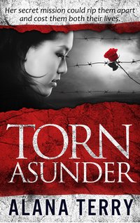 Torn Asunder - Alana Terry - ebook
