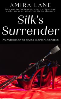 Silk’s Surrender - Amira Lane - ebook