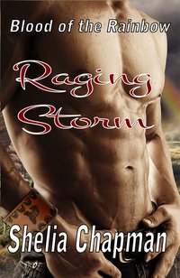 Raging Storm - Shelia Chapman - ebook