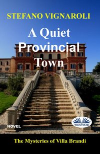 A Quiet Provincial Town - Stefano Vignaroli - ebook
