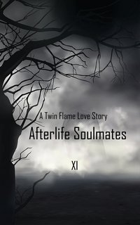 Afterlife Soulmates - XI - ebook