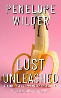 Lust Unleashed - Steamy Tales of Forbidden Encounters - Penelope Wilder - ebook
