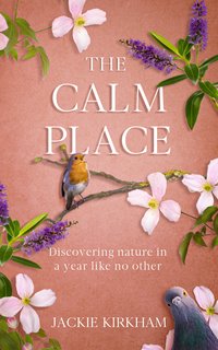 The Calm Place - Jackie Kirkham - ebook