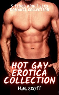 Hot Gay Erotica Collection - H. M. Scott - ebook