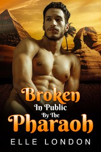 Broken In Public By The Pharaoh - Elle London - ebook