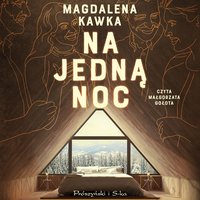 Na jedną noc - Magdalena Kawka - audiobook