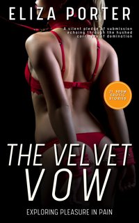 The Velvet Vow - Exploring Pleasure in Pain - Eliza Porter - ebook