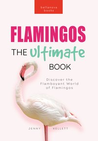Flamingos The Ultimate Book - Jenny Kellett - ebook