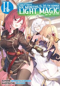 I Only Have Six Months to Live, So I’m Gonna Break the Curse with Light Magic or Die Trying: Volume 2 - Genkotsu Kumano - ebook
