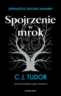 Spojrzenie w mrok - C.J. Tudor - ebook