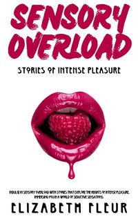 Sensory Overload - Elizabeth Fleur - ebook