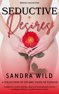 Seductive Desires - Sandra Wild - ebook