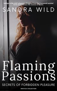 Flaming Passions - Sandra Wild - ebook