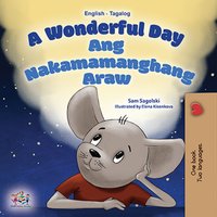 A Wonderful Day Ang Nakamamanghang Araw - Sam Sagolski - ebook