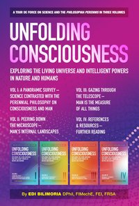 Unfolding Consciousness - Edi Bilimoria - ebook