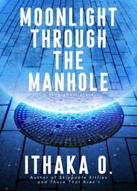 Moonlight Through the Manhole - Ithaka O. - ebook