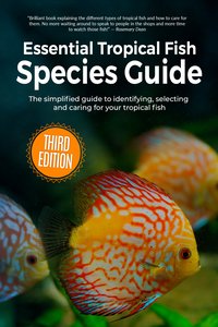 Essential Tropical Fish Species Guide - Anne Finlay - ebook