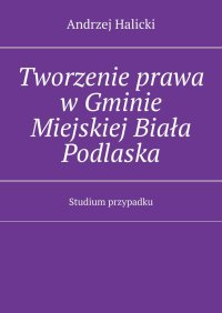 Tworzenie prawa w Gminie Miejskiej Biała Podlaska - Andrzej Halicki - ebook