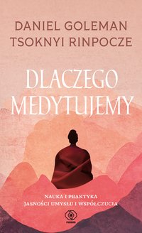 Dlaczego medytujemy - Tsoknyi Rinpoche - ebook