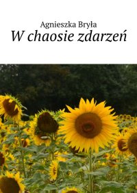 W chaosie zdarzeń - Agnieszka Bryła - ebook
