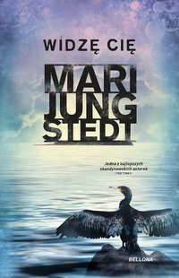 Widzę cię - Mari Jungstedt - ebook