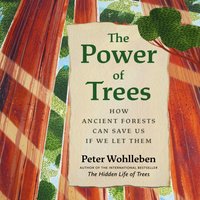 Power of Trees - Peter Wohlleben - audiobook