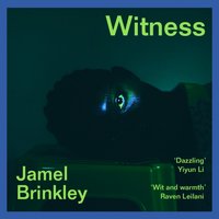 Witness - Jamel Brinkley - audiobook