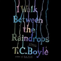 I Walk Between the Raindrops - T.C. Boyle - audiobook