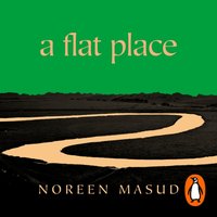 Flat Place - Noreen Masud - audiobook