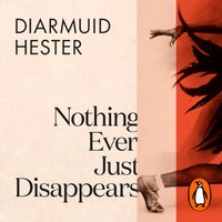 Nothing Ever Just Disappears - Diarmuid Hester - audiobook