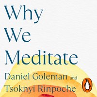 Why We Meditate - Tsoknyi Rinpoche - audiobook