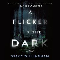 Flicker in the Dark - Stacy Willingham - audiobook