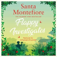 Flappy Investigates - Santa Montefiore - audiobook