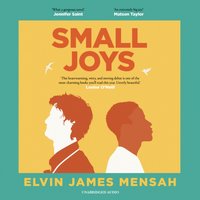 Small Joys - Elvin James Mensah - audiobook