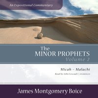 Minor Prophets: An Expositional Commentary, Volume 2 - James Montgomery Boice - audiobook
