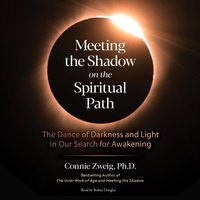 Meeting the Shadow on the Spiritual Path - Connie Zweig - audiobook