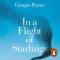 In a Flight of Starlings - Giorgio Parisi - audiobook