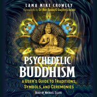 Psychedelic Buddhism - Gwyllm Llwydd - audiobook