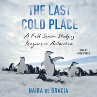 Last Cold Place - Naira de Gracia - audiobook