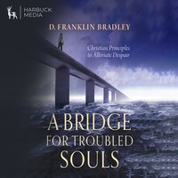 Bridge For Troubled Souls - Bradley D. Franklin Bradley - audiobook