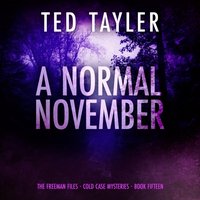 Normal November - Ted Tayler - audiobook