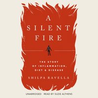 Silent Fire - Shilpa Ravella - audiobook