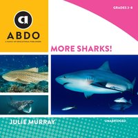 More Sharks! - Julie Murray - audiobook
