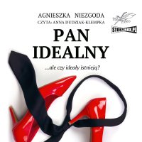 Pan Idealny - Agnieszka Niezgoda - audiobook